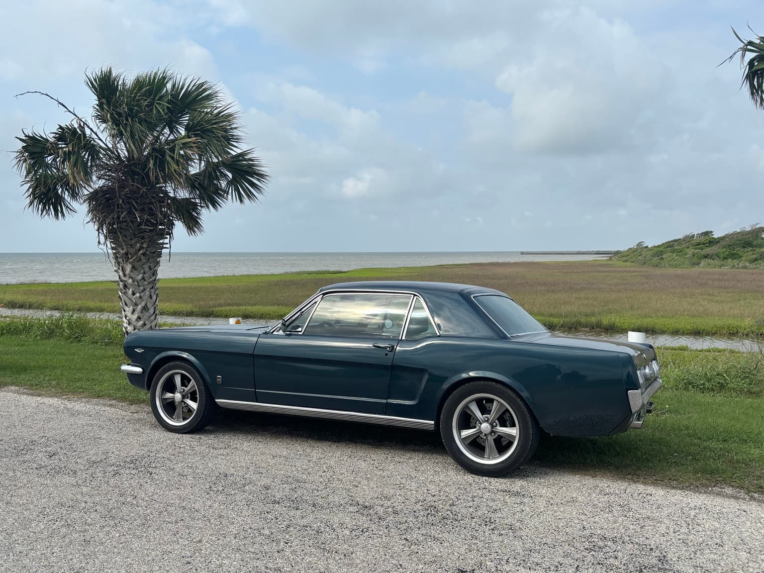 The founder's dark green classic Mustang parked beside the Texas coast